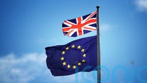 EU and UK officials offer warm words ahead of Northern Ireland Protocol talks