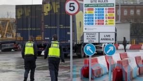 Northern Ireland Protocol Bill threatens human rights protections, report finds