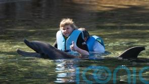 Sick children swim with dolphins on ‘once-in-a-lifetime’ free holiday in Florida
