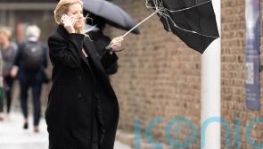 More wind and rain as November continues its blustery, wet start