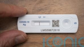 Covid-19 infections fall in all UK nations for first time since summer