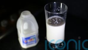 Drinking milk made ancient humans heavier and taller, study finds