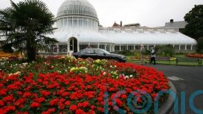 Teenager in stable condition after Botanic Gardens stabbing