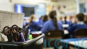 Teachers staging half-day strike over ‘future of profession’