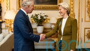 King and von der Leyen meeting ‘not unusual’, says Cleverly