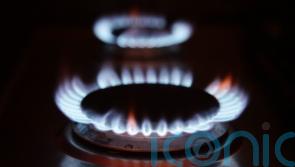 Firmus announces reduction in gas prices from April 1