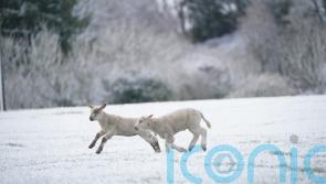 More snow and ice through the week as Arctic blast hits UK, Met Office says
