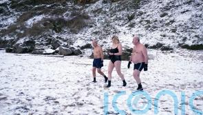 Flights disrupted amid snowfall in south following coldest night of the year