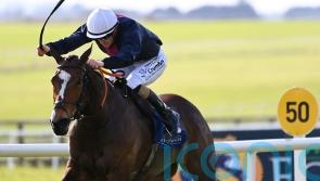 Insinuendo motors to Park Express success at the Curragh Racecourse