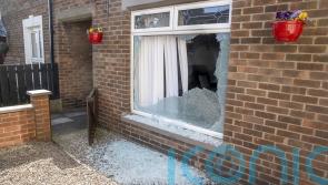 Police investigate potential link between attacks