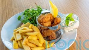 Scampi could vanish from menus without special fishing visas, ministers warned