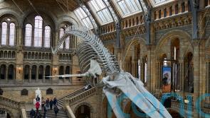 Shortlist announced for Art Fund Museum Of The Year