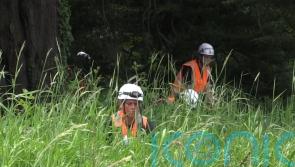 Second man arrested as search for Chloe Mitchell continues