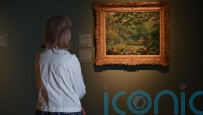 Renoir painting a first for public collection in Northern Ireland