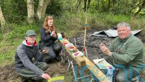 Arson threatens Lough Neagh conservation project