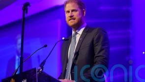 She is looking down on us all – Harry speaks of late Queen on eve of anniversary