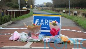 Gardai tell court of efforts to save life of Ashling Murphy