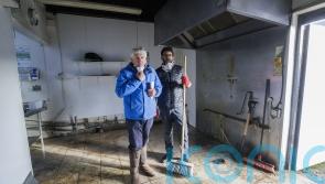 ‘Soul-destroying’ for Downpatrick businesses as floods clean-up begins