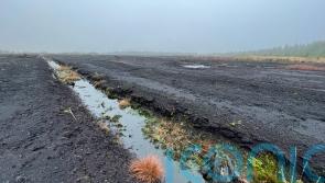 Co Tyrone bog to be transformed in first-of-its-kind peatland restoration