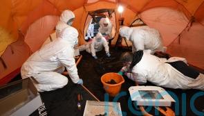 Human remains found in bog thought to be thousands of years old