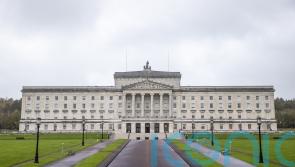 Civil service faces capacity issues when examining new EU laws, committee told