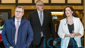 DUP’s Little-Pengelly vows to provide stability after leader’s shock resignation