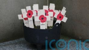 Irish government ‘was reluctant’ to acknowledge border role in Kingsmill attack