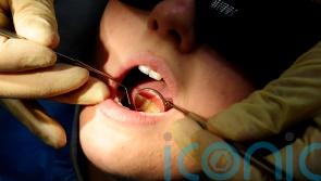 MLA criticises ‘inappropriate’ mercury fillings ban evidence given to committee