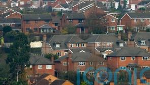 Rate of asylum seekers granted refugee status ‘putting strain on social housing’