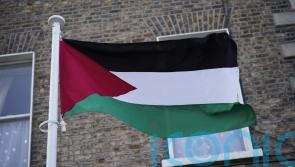 Ambassador ‘looking forward’ to Palestine flag flying over Irish parliament