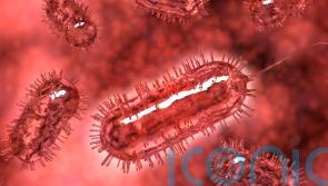 People admitted to hospital in UK-wide E. coli outbreak