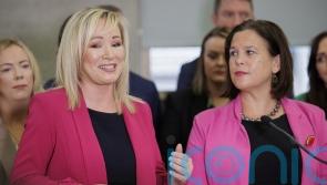 Parties to assess results as dust settles on Irish local and European elections