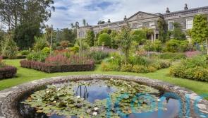 Award for ‘exemplary’ efforts to cope with climate change at historic garden