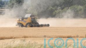 44% fall in total farming income in Northern Ireland