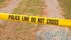 Petrol bomb thrown at Co Down mosque as police investigate overnight attacks