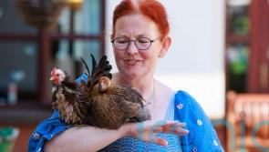 Animal Whisperer’s cuddly creatures bring comfort to care home residents