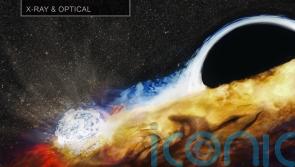 Cosmic discovery solves black hole mystery that had perplexed scientists