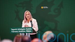 Small parties must get chance to scrutinise assisted dying proposal, Plaid urges