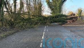 About 22,000 remain without power in Northern Ireland following Storm Darragh