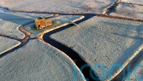 Temperatures plummet to minus 5C overnight as cold snap continues to grip UK