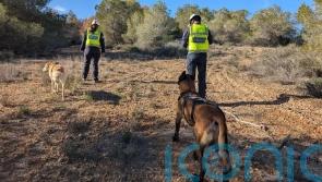 Brother of Belfast man missing in Spain makes appeal to find body