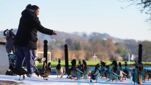 Cold snap continues as temperatures set to drop during coming days