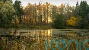 National Trust plans 250,000 hectares of nature-rich landscapes over 10 years