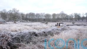 UK sees coldest January night in 15 years as winter snap continues