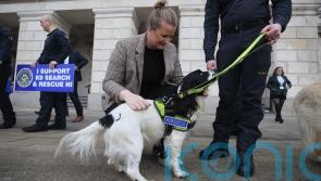 MLAs get update on work of canine rescue team