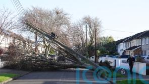 Nearly one million homes and businesses without power across island of Ireland