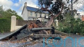 More than 280,000 without power in NI after Storm Eowyn batters region