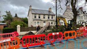 75,000 remain without power in Northern Ireland after Storm Eowyn