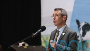 Bird flu clampdown around Northern Ireland nature reserve