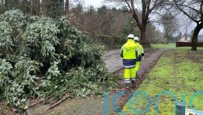 Storm Eowyn damage to schools in Northern Ireland cost millions, Stormont told